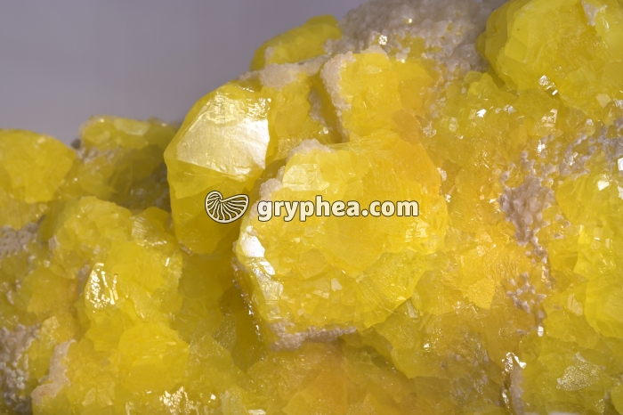 Soufre sur calcite (Agrigento, Italie) - gryphea.org